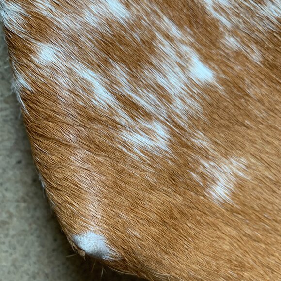 Primecut Slouchy Mini Hobo Crossbody Bag - Picture 3 of 7